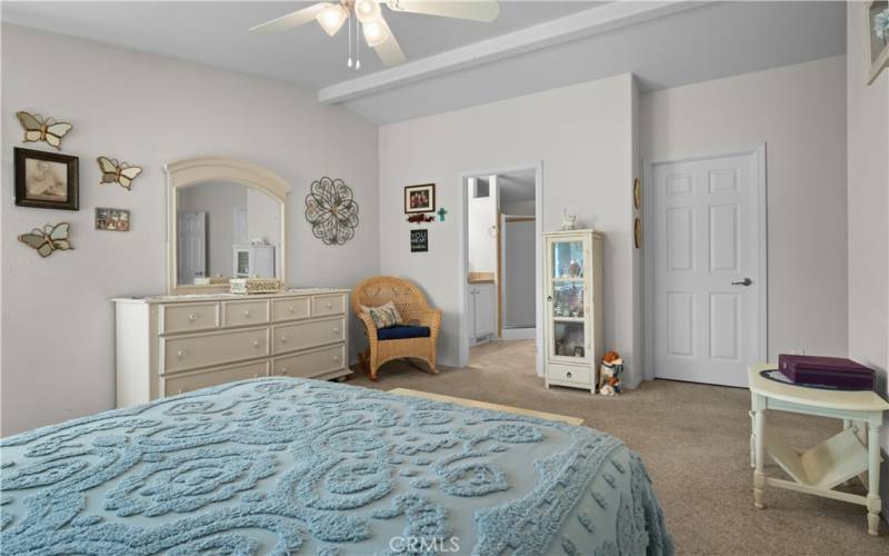 Main home primary suite with the walk in closet to the right, looking into the bathroom.