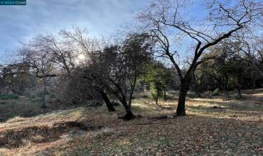 228 Country Club Lane, Napa, California 94558, ,Land,Buy,228 Country Club Lane,41080171