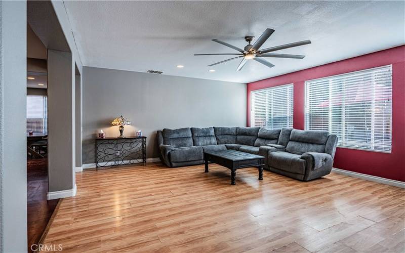 downstairs living room