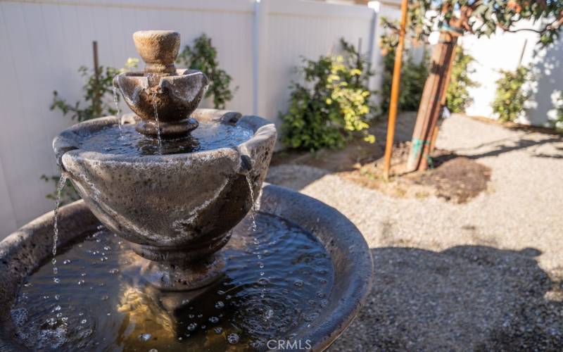 Water Fountain in Backyard