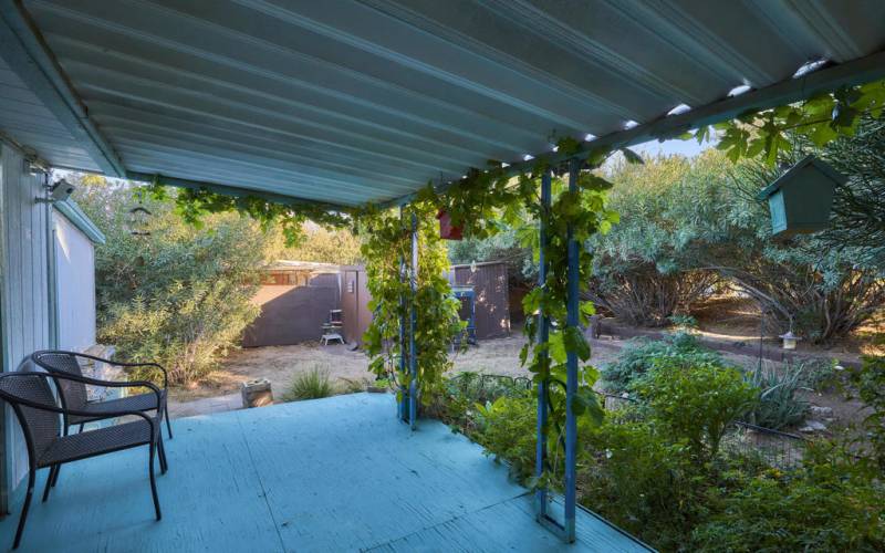 Primary Room Patio and Backyard