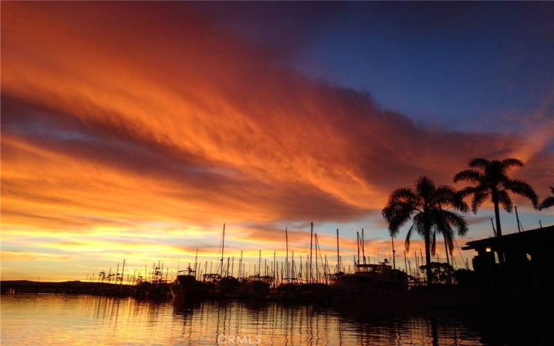 Or SUPing at the harbor - 7 minute drive.