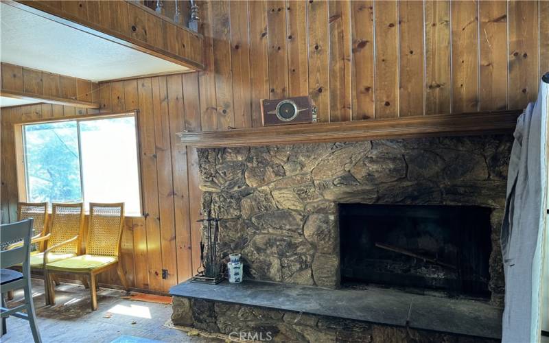 Living room Fireplace