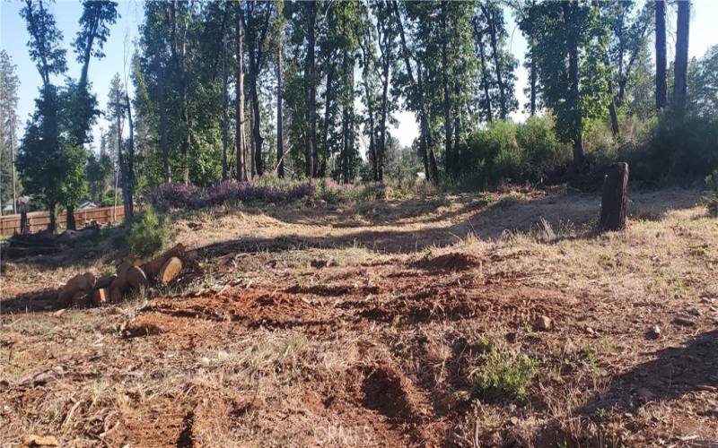 View from paved driveway where upper dwelling was located.