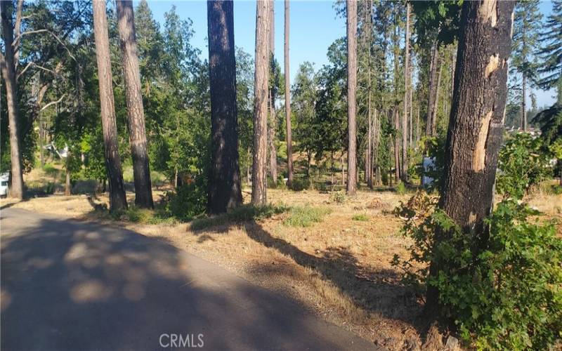 View from paved driveway looking toward Oak Way.