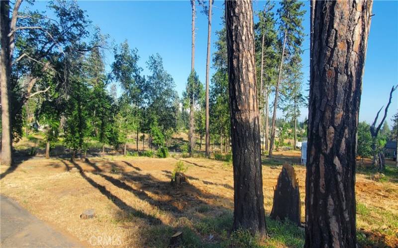 View from paved driveway of area where lower dwelling was located.