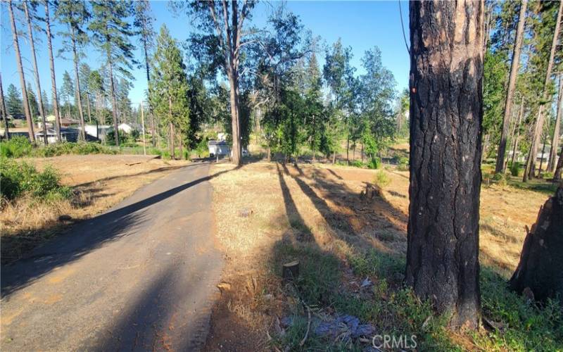 View from upper portion of property looking down the paved driveway.