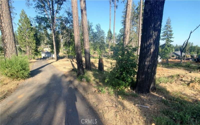 View from upper part of property looking back toward Oak Way.