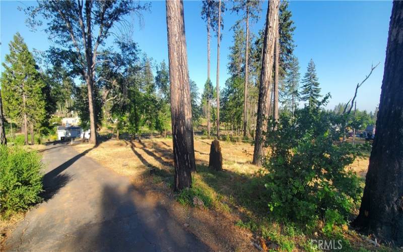 View from paved driveway looking back toward Oak Way.