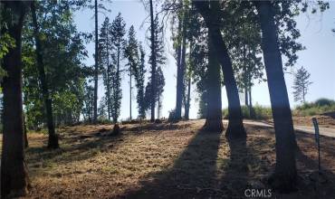 View from Oak Way with paved driveway leading to top portion of property.