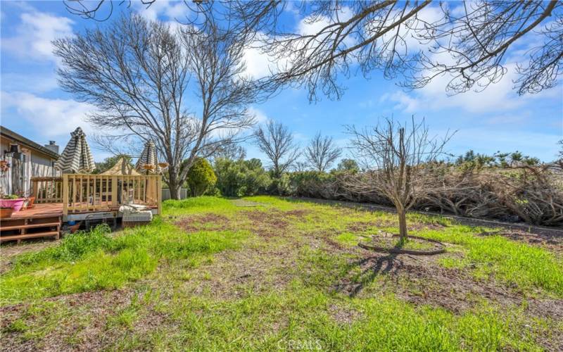 Large yard with room to play and putter.