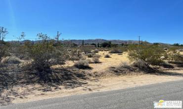 61665 Division Street, Joshua Tree, California 92252, ,Land,Buy,61665 Division Street,24471783