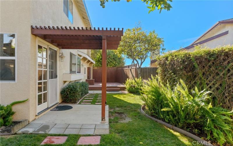 Back Yard & Patio