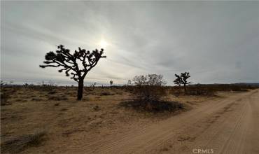 1 Canterbury, Yucca Valley, California 92284, ,Land,Buy,1 Canterbury,JT24248906