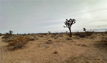 0 Canterbury, Yucca Valley, California 92284, ,Land,Buy,0 Canterbury,JT24249024