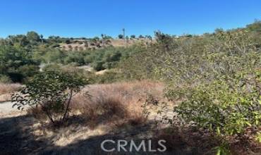 25050 Carancho, Temecula, California 92590, ,Land,Buy,25050 Carancho,SW24220147