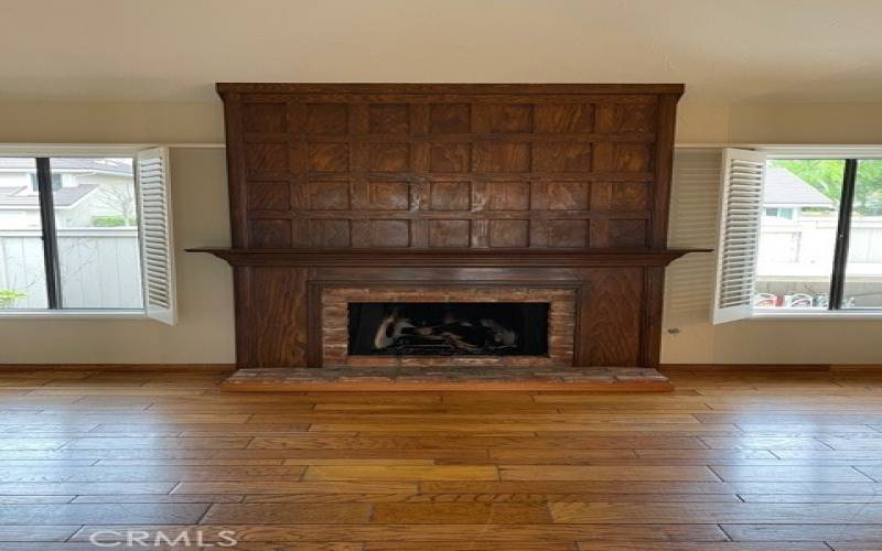 Fireplace in Living area.