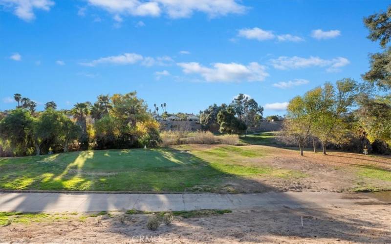 Golf Course View - 15th Green - Par 3