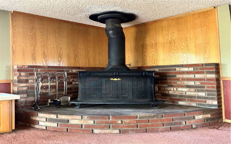 Unique Fireplace