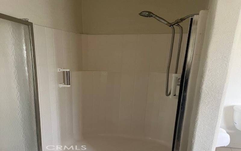 Master Bath Walk in Shower