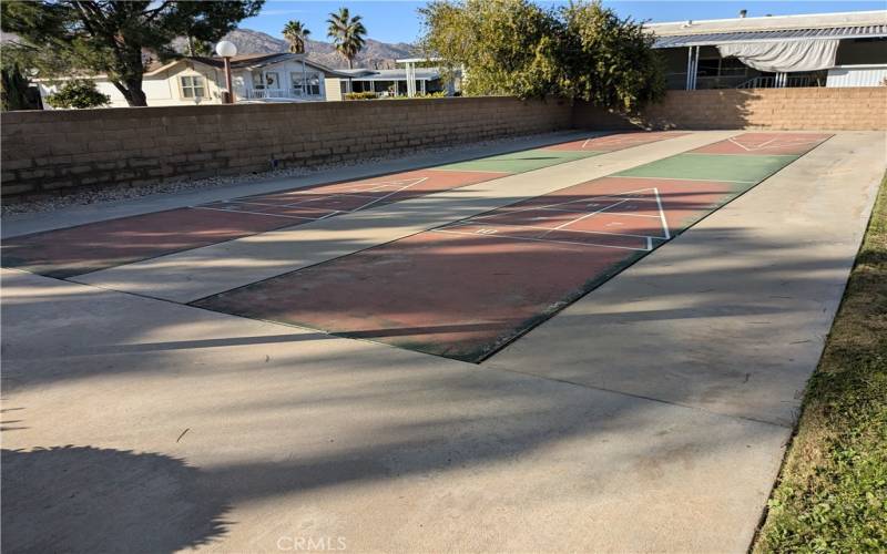 Community shuffleboard