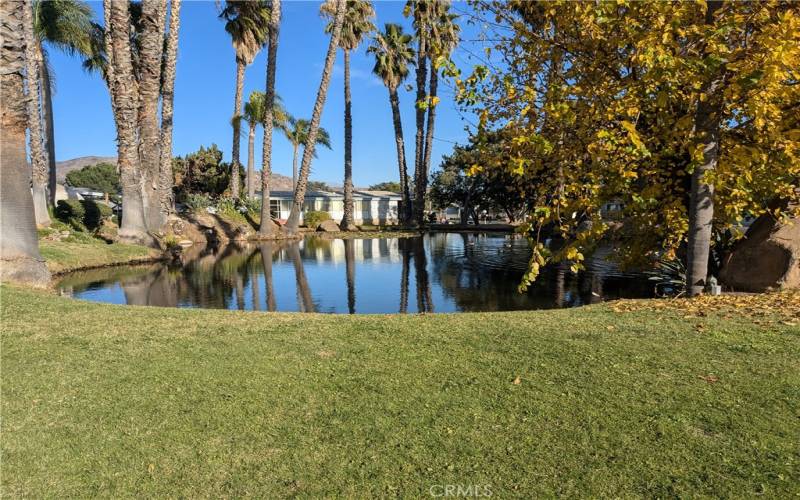 Community pond