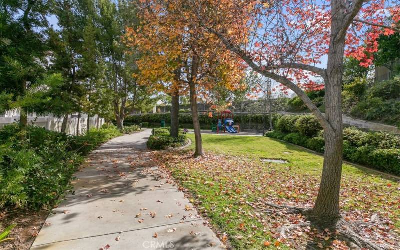 Meandering Walkway to Tot Lot