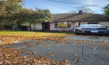 2412 Lyle Ct, San Leandro, California 94578, 4 Bedrooms Bedrooms, ,2 BathroomsBathrooms,Residential,Buy,2412 Lyle Ct,41080330