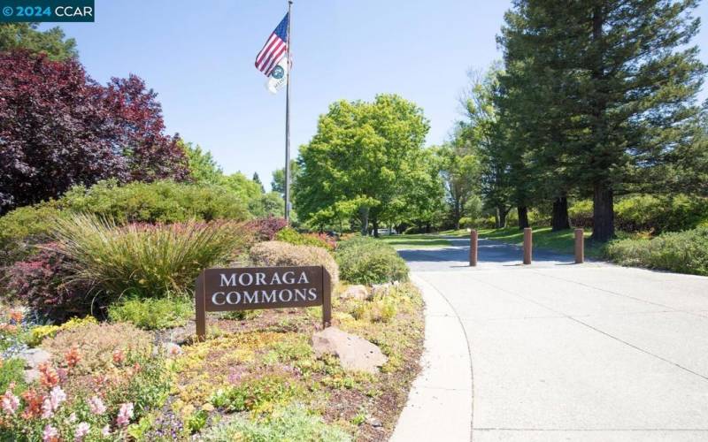 Moraga Commons Park