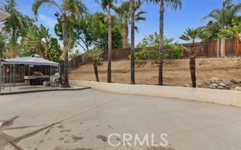 Large yard with palmtrees