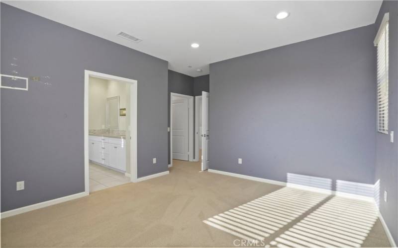 Primary bedroom with walk-in closet and full bath