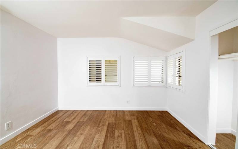 Bedroom 2 large closet and plenty of light.