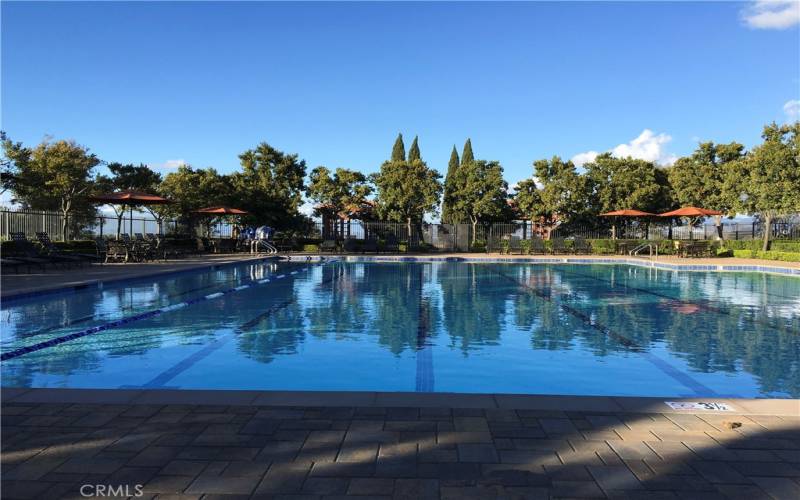 Community Pool with spa, two bbqs, and shower room.