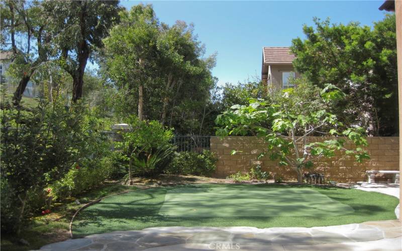 Backyard with mini golf greens