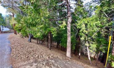 291 Hillside Road, Lake Arrowhead, California 92352, ,Land,Buy,291 Hillside Road,IG24249745