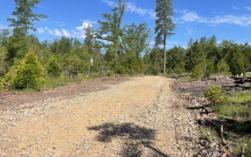 Area near Oliver Creek entrance