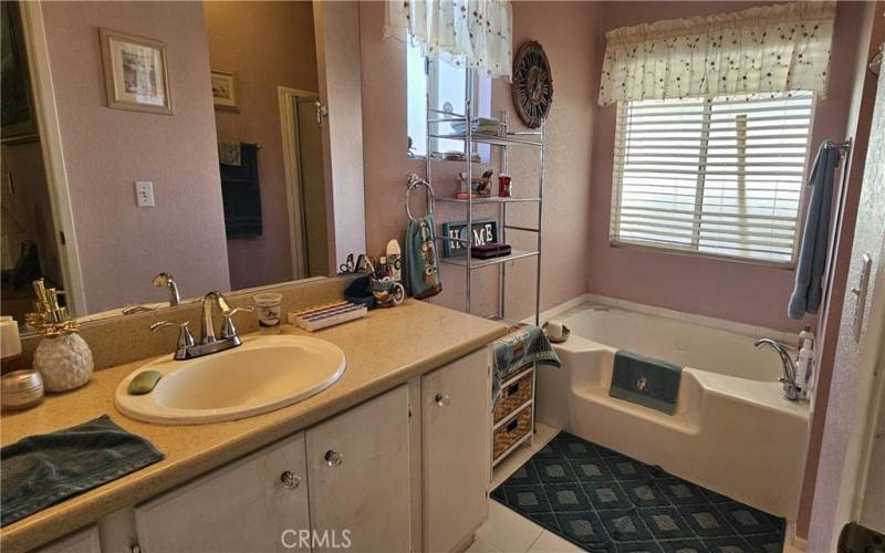 Primary Bathroom - Separate Tub and Walk-in Shower