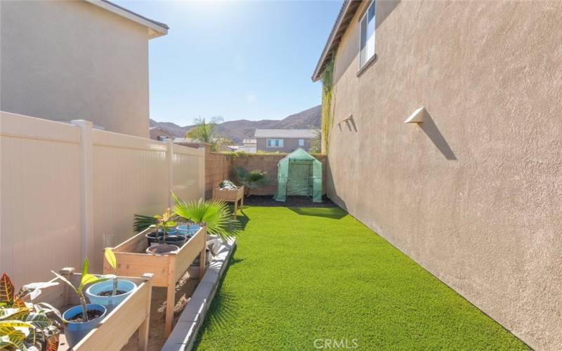 Side yard with garden beds