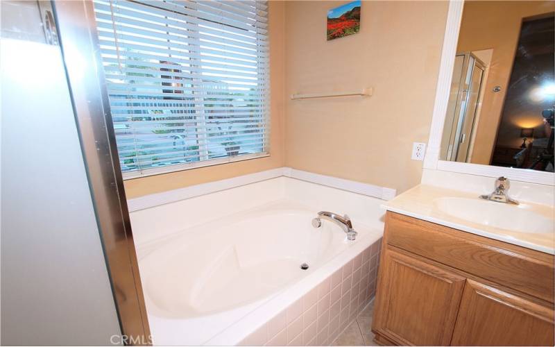 Large Soaking Tub