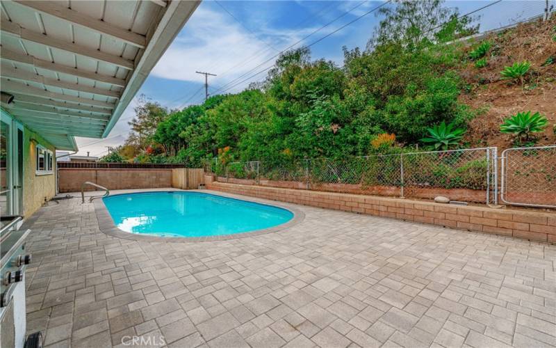 Backyard and Pool