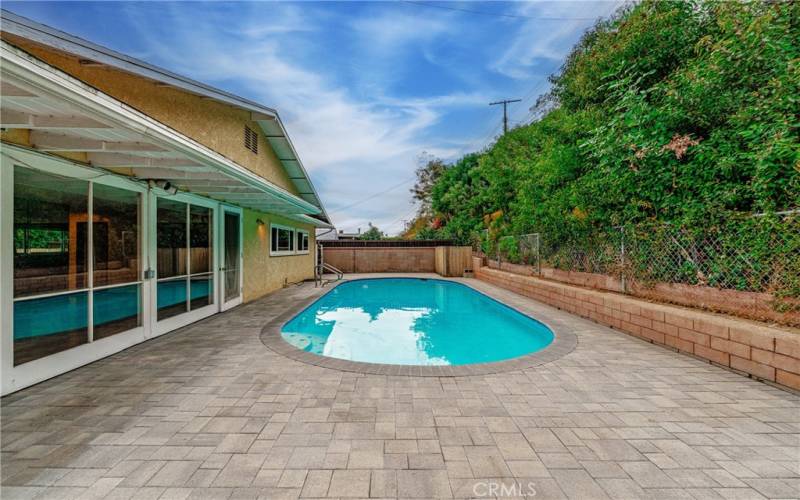 Backyard and Pool