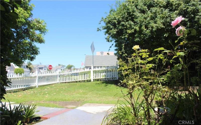 Looking out from front porch