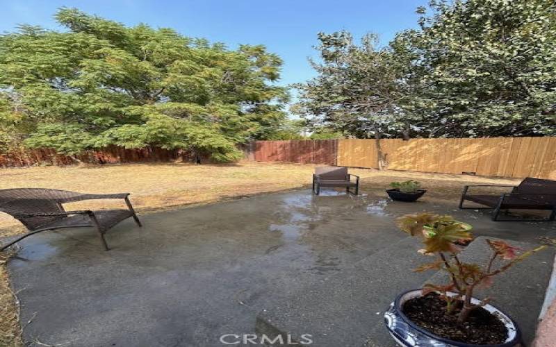 Cozy Patio area in spacious Backyard, perfect for entertaining!