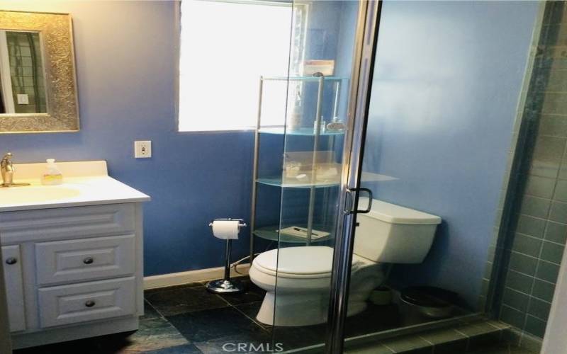 Hall bathroom with slate floors & ceramic tile