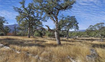 0 39.29 AC Village Drive, Oakhurst, California 93644, ,Land,Buy,0 39.29 AC Village Drive,FR24251605