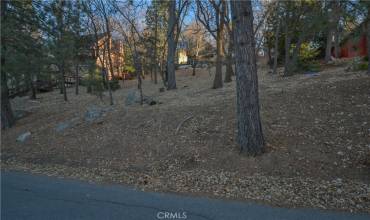 1411 Yosemite Drive, Lake Arrowhead, California 92352, ,Land,Buy,1411 Yosemite Drive,IG24251663