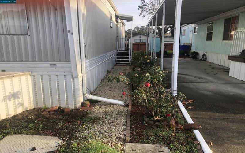 Side Yard W Potted Plants!