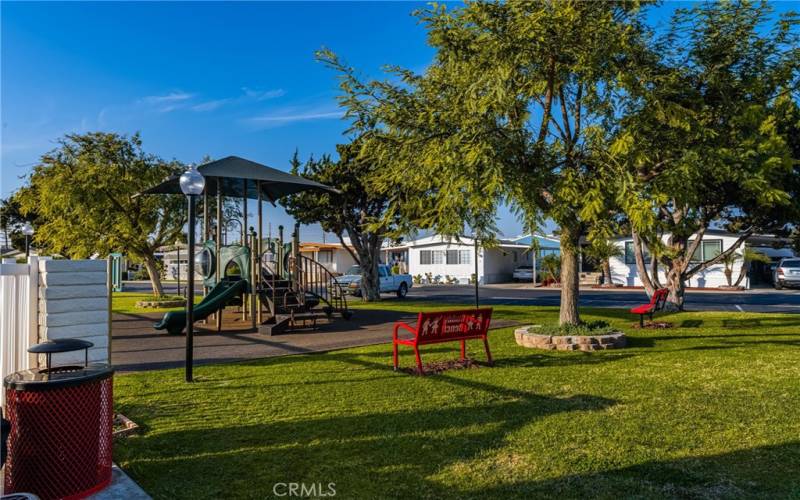 Playground and grass area