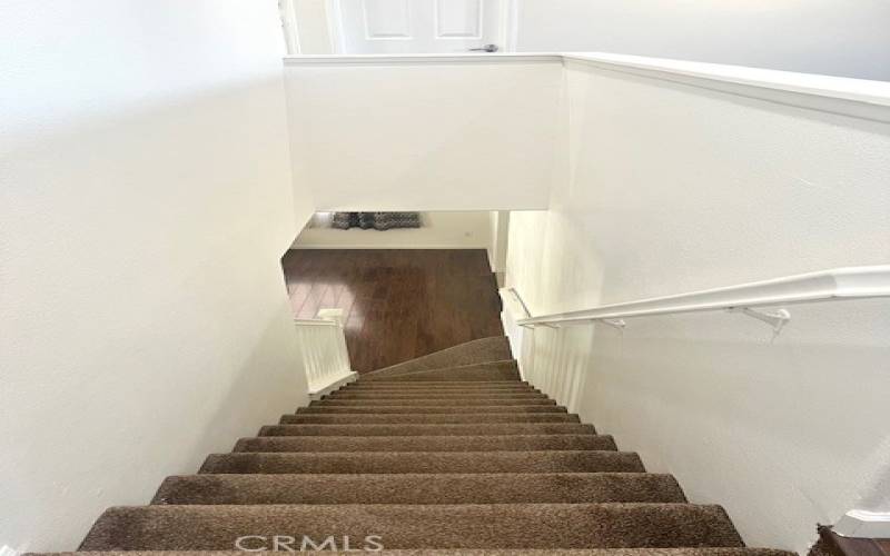 Carpeted stairs