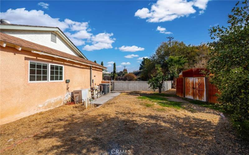 Side yard with fruit trees.